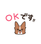 ボーダーコリー 敬語（個別スタンプ：4）