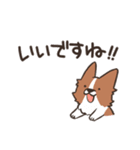 ボーダーコリー 敬語（個別スタンプ：5）