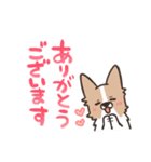 ボーダーコリー 敬語（個別スタンプ：6）