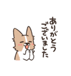 ボーダーコリー 敬語（個別スタンプ：7）