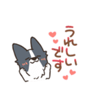 ボーダーコリー 敬語（個別スタンプ：8）