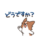 ボーダーコリー 敬語（個別スタンプ：10）