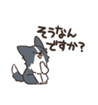 ボーダーコリー 敬語（個別スタンプ：12）
