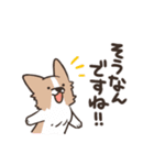 ボーダーコリー 敬語（個別スタンプ：13）