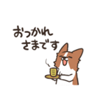 ボーダーコリー 敬語（個別スタンプ：14）