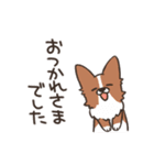 ボーダーコリー 敬語（個別スタンプ：15）