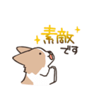 ボーダーコリー 敬語（個別スタンプ：16）