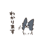 ボーダーコリー 敬語（個別スタンプ：17）