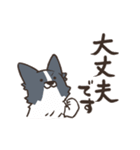 ボーダーコリー 敬語（個別スタンプ：18）