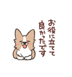 ボーダーコリー 敬語（個別スタンプ：20）