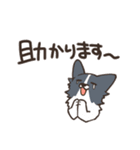 ボーダーコリー 敬語（個別スタンプ：21）