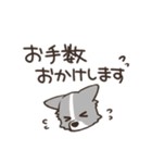 ボーダーコリー 敬語（個別スタンプ：22）