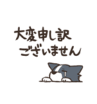 ボーダーコリー 敬語（個別スタンプ：23）