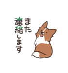 ボーダーコリー 敬語（個別スタンプ：27）