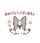 ボーダーコリー 敬語（個別スタンプ：28）