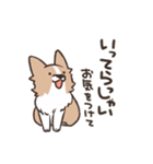 ボーダーコリー 敬語（個別スタンプ：34）
