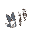 ボーダーコリー 敬語（個別スタンプ：35）