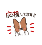 ボーダーコリー 敬語（個別スタンプ：36）