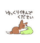 ボーダーコリー 敬語（個別スタンプ：37）
