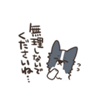 ボーダーコリー 敬語（個別スタンプ：38）