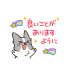 ボーダーコリー 敬語（個別スタンプ：39）