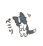 ボーダーコリー 敬語（個別スタンプ：40）