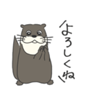 まるっこカワウソのスタンプ（個別スタンプ：24）
