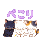 猫のつめあわせ【ずっと使える】（個別スタンプ：14）