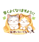 猫のつめあわせ【ずっと使える】（個別スタンプ：31）
