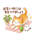 猫のつめあわせ【ずっと使える】（個別スタンプ：32）