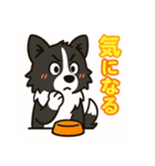 ほんわかボーダーコリー（個別スタンプ：2）