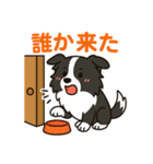 ほんわかボーダーコリー（個別スタンプ：3）