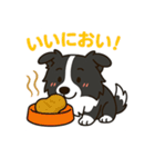 ほんわかボーダーコリー（個別スタンプ：5）