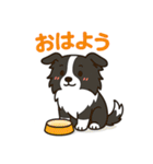 ほんわかボーダーコリー（個別スタンプ：6）