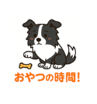 ほんわかボーダーコリー（個別スタンプ：7）
