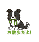 ほんわかボーダーコリー（個別スタンプ：9）