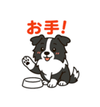 ほんわかボーダーコリー（個別スタンプ：10）