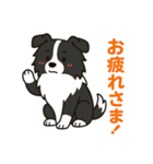 ほんわかボーダーコリー（個別スタンプ：13）