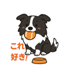 ほんわかボーダーコリー（個別スタンプ：16）