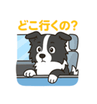 ほんわかボーダーコリー（個別スタンプ：18）