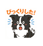 ほんわかボーダーコリー（個別スタンプ：19）