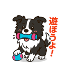 ほんわかボーダーコリー（個別スタンプ：20）