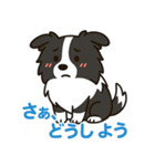 ほんわかボーダーコリー（個別スタンプ：21）