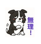 ほんわかボーダーコリー（個別スタンプ：22）