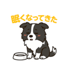 ほんわかボーダーコリー（個別スタンプ：23）