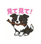 ほんわかボーダーコリー（個別スタンプ：26）