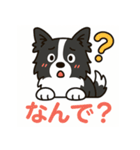 ほんわかボーダーコリー（個別スタンプ：27）
