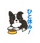 ほんわかボーダーコリー（個別スタンプ：28）