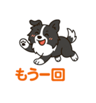 ほんわかボーダーコリー（個別スタンプ：29）