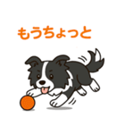 ほんわかボーダーコリー（個別スタンプ：30）